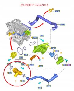 Ford Termostat Ara Dirsek Su Borusu 1.0 Ecoboost