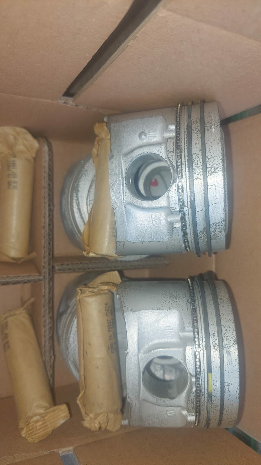 Ford Escort Piston Segman Takımı Clx 1995-2001 Orjinal [Standart]