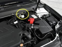 Ford Fiesta Ana Merkez Fren Hidrolik Dot 4 Yağ Depo Kapağı 2002--2008 6M512162AA